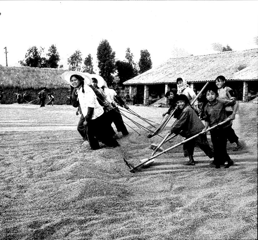 数据创新平台发布图片