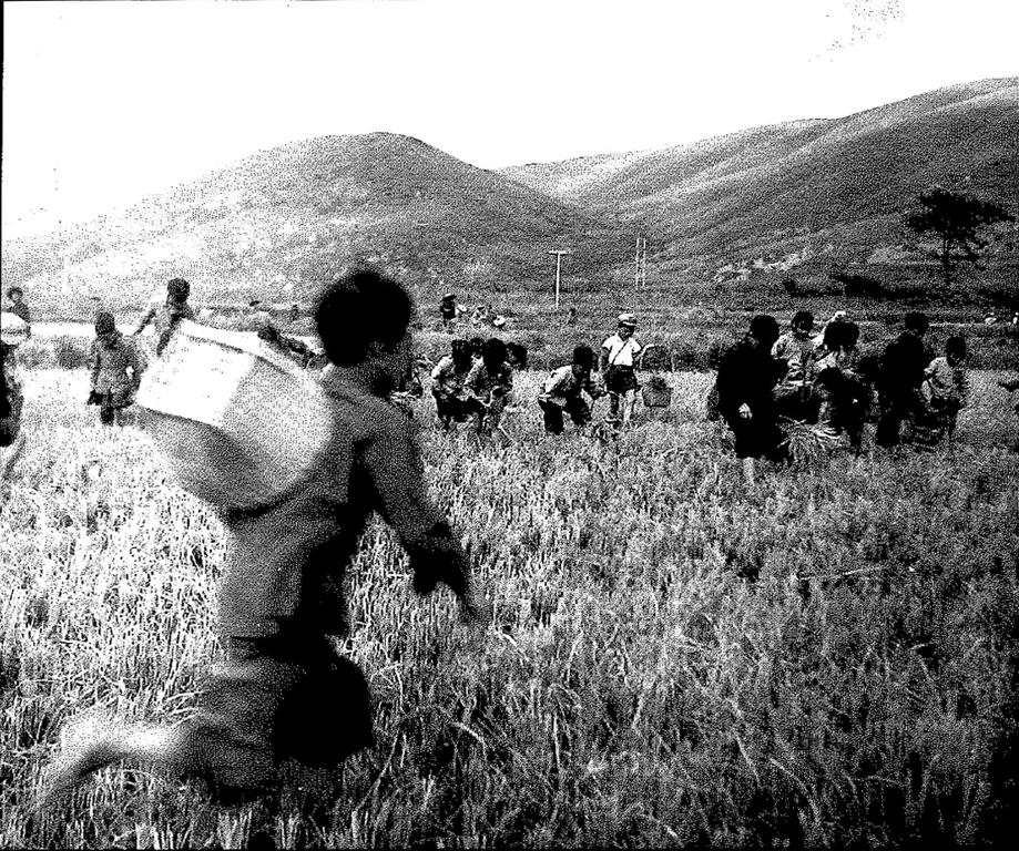 数据创新平台发布图片