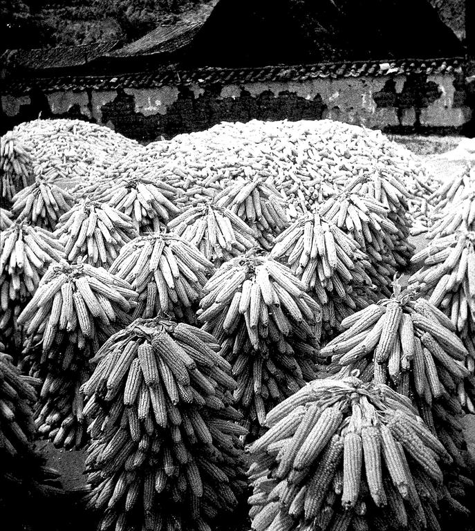 数据创新平台发布图片